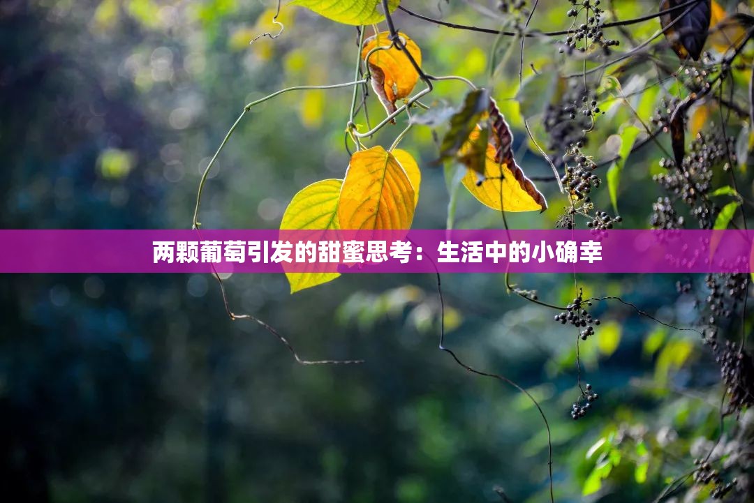 两颗葡萄引发的甜蜜思考：生活中的小确幸