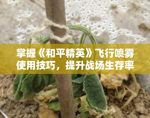 掌握《和平精英》飞行喷雾使用技巧，提升战场生存率