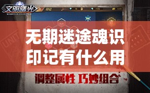 无期迷途魂识印记有什么用？深度解析其功能与使用