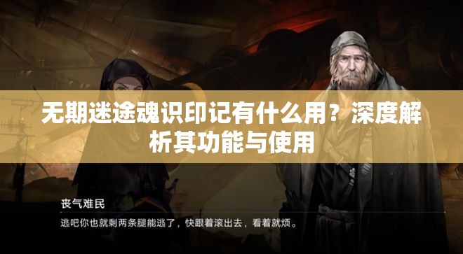 无期迷途魂识印记有什么用？深度解析其功能与使用