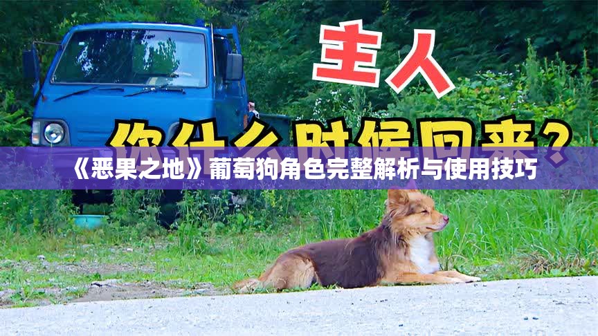 《恶果之地》葡萄狗角色完整解析与使用技巧