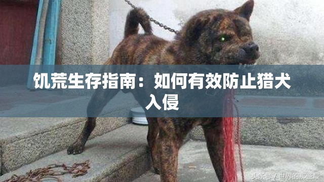 饥荒生存指南：如何有效防止猎犬入侵