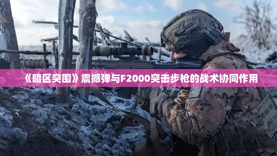 《暗区突围》震撼弹与F2000突击步枪的战术协同作用